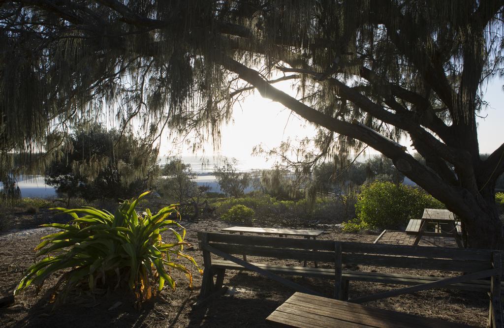 Couran Cove Resort South Stradbroke Island Eksteriør bilde